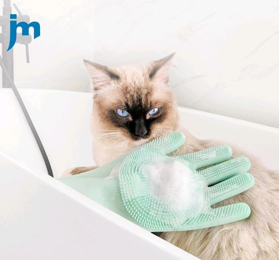 cat bath